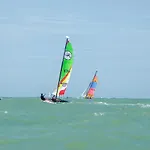 Entre Terre Et *
